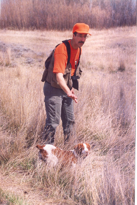 Wyndy Point a quail at a hunt test in MT, 2005